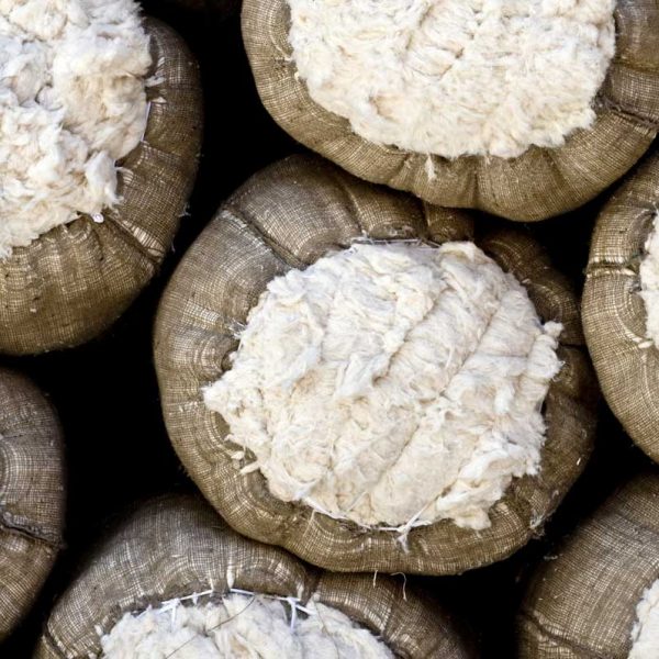 cotton_bales