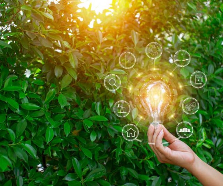 sustainability_lightbulb
